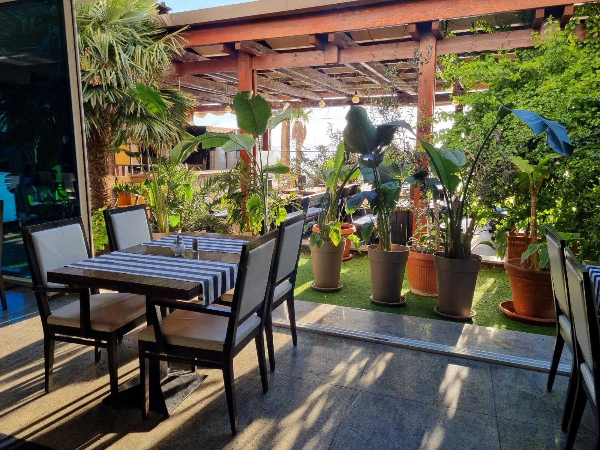 Hotel Gala Split Подстрана Екстериор снимка